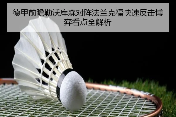 德甲前瞻勒沃库森对阵法兰克福快速反击博弈看点全解析